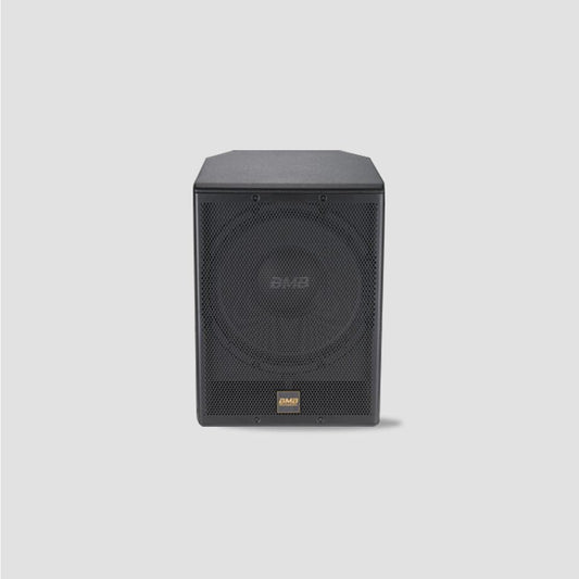 Professional CSW - 600 Pasive subwoofer Persang Karaoke