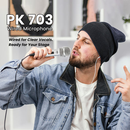 PK703 dual Wired Microphone