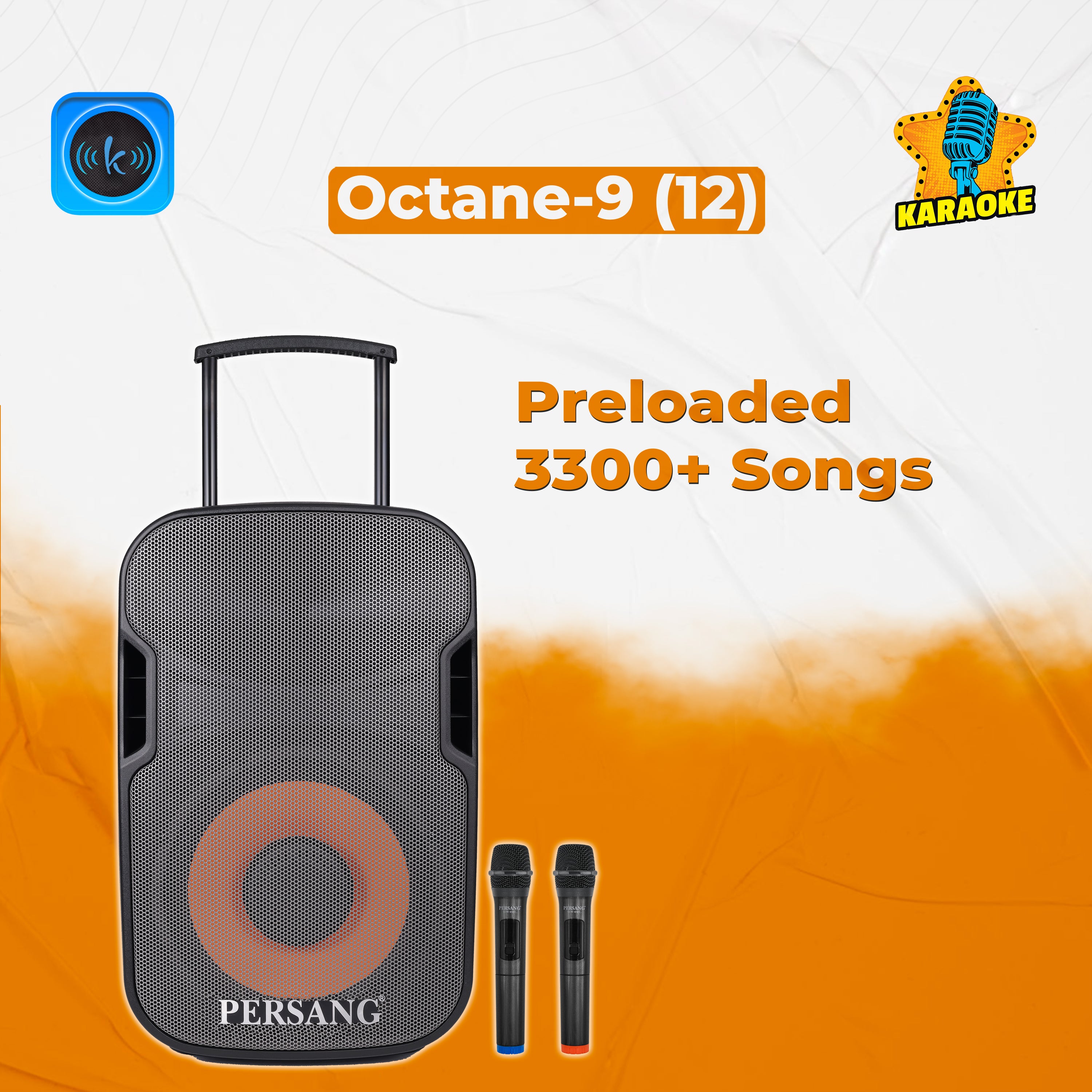 12 Inch Karaoke Speaker