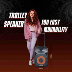 Persang Ocatne 9 (12) 30.48 cms 50W RMS/500 PMPO Active Trolley Speaker with Recording | Upto 5 Hours Playback Time, 2 Karaoke MIC| CM Woofers | Bluetooth, SD, TFT & USB