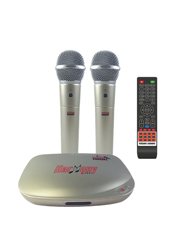 Karaoke System for Party
