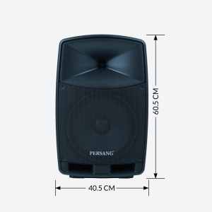 12 inch Trolley Speaker in black with stylish look.