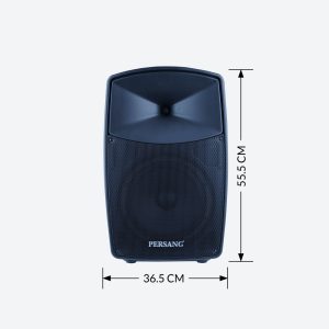 Buy Best Octane 9 premium Bluetooth Trolley Speaker Online